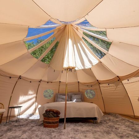 Hotel Holmegaard Vin Og Glamping Dannemare Zewnętrze zdjęcie