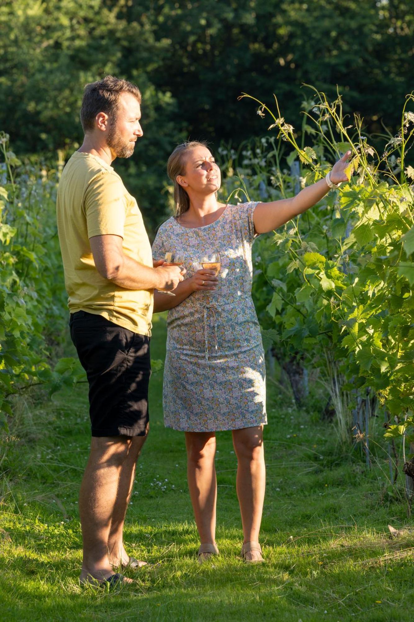Hotel Holmegaard Vin Og Glamping Dannemare Zewnętrze zdjęcie